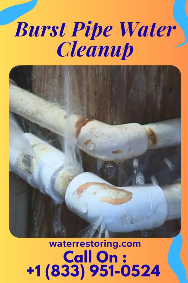 Burst Pipe Water Cleanup in Mappsburg, VA