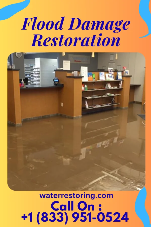 Flood Damage Restoration in Mappsburg, VA