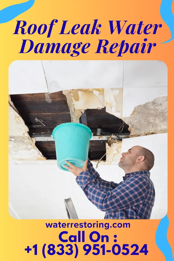 Roof Leak Water Damage Repair in Mappsburg, VA