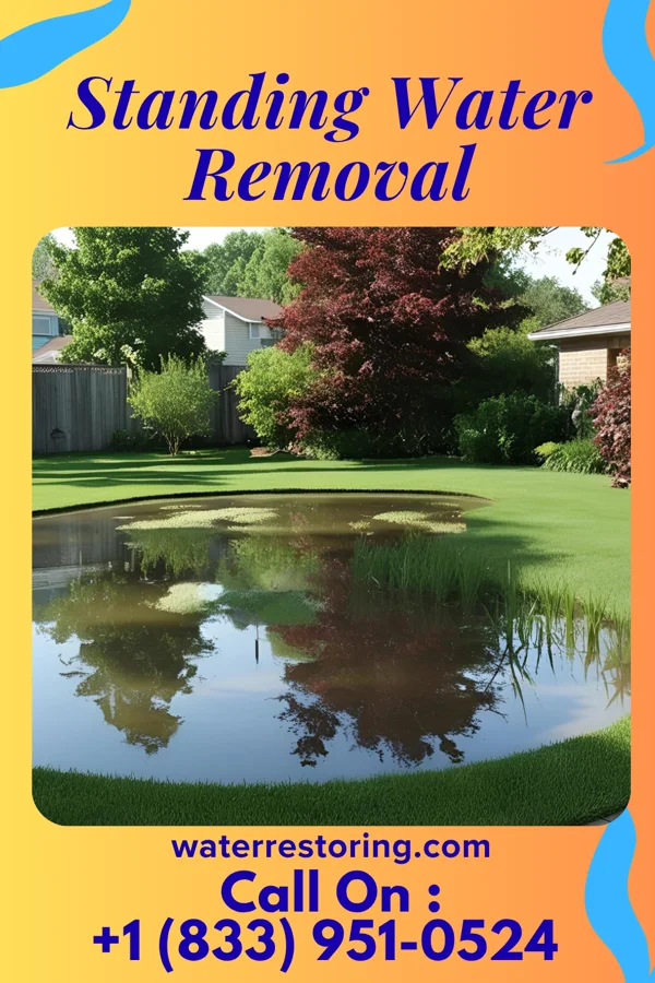 Standing Water Removal in Mappsburg, VA